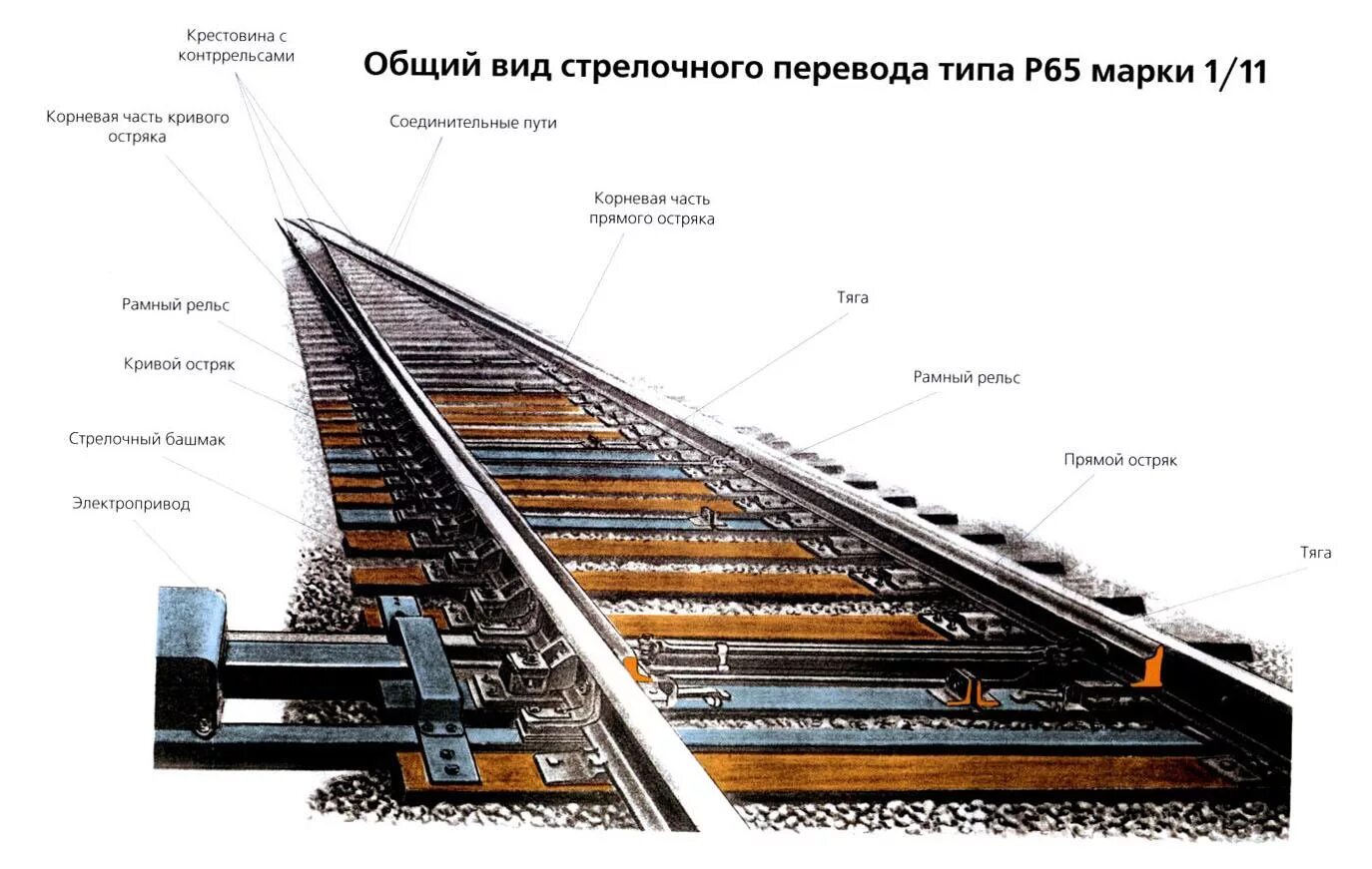 Из чего состоит рельс фото. Геометрические элементы стрелочного перевода. стык рамного рельса стрелочного перевода. стрелка рамный рельс остряк. общий вид бесстыкового пути, вид сбоку.