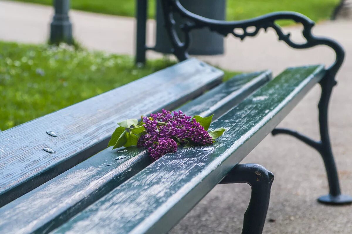 скамья в парке. осенняя фотосессия на лавочке. фотохудожник leszek bujnowski. скамейка в осеннем парке. забытая скамейка.
