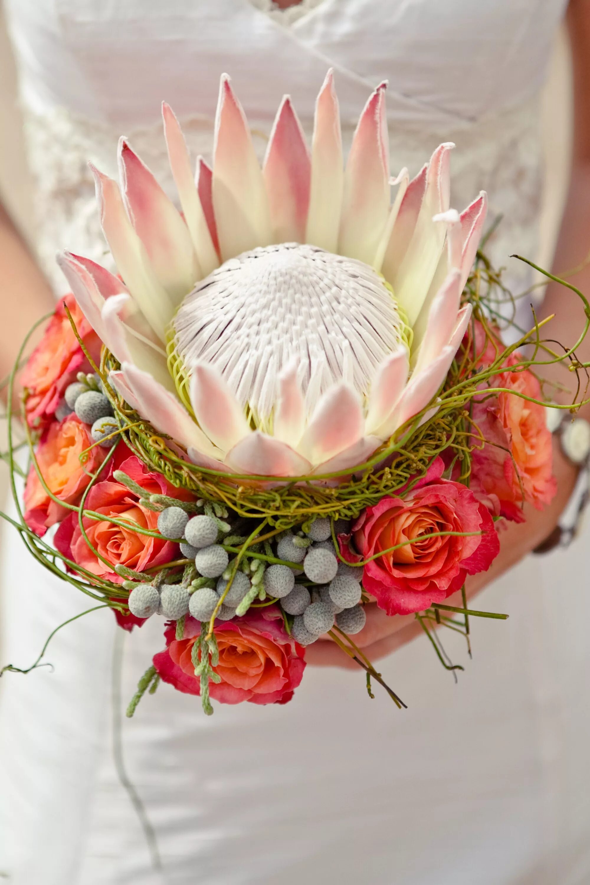 protea bouquet - Google Search Flower arrangements delivery, Flower delivery, Pr