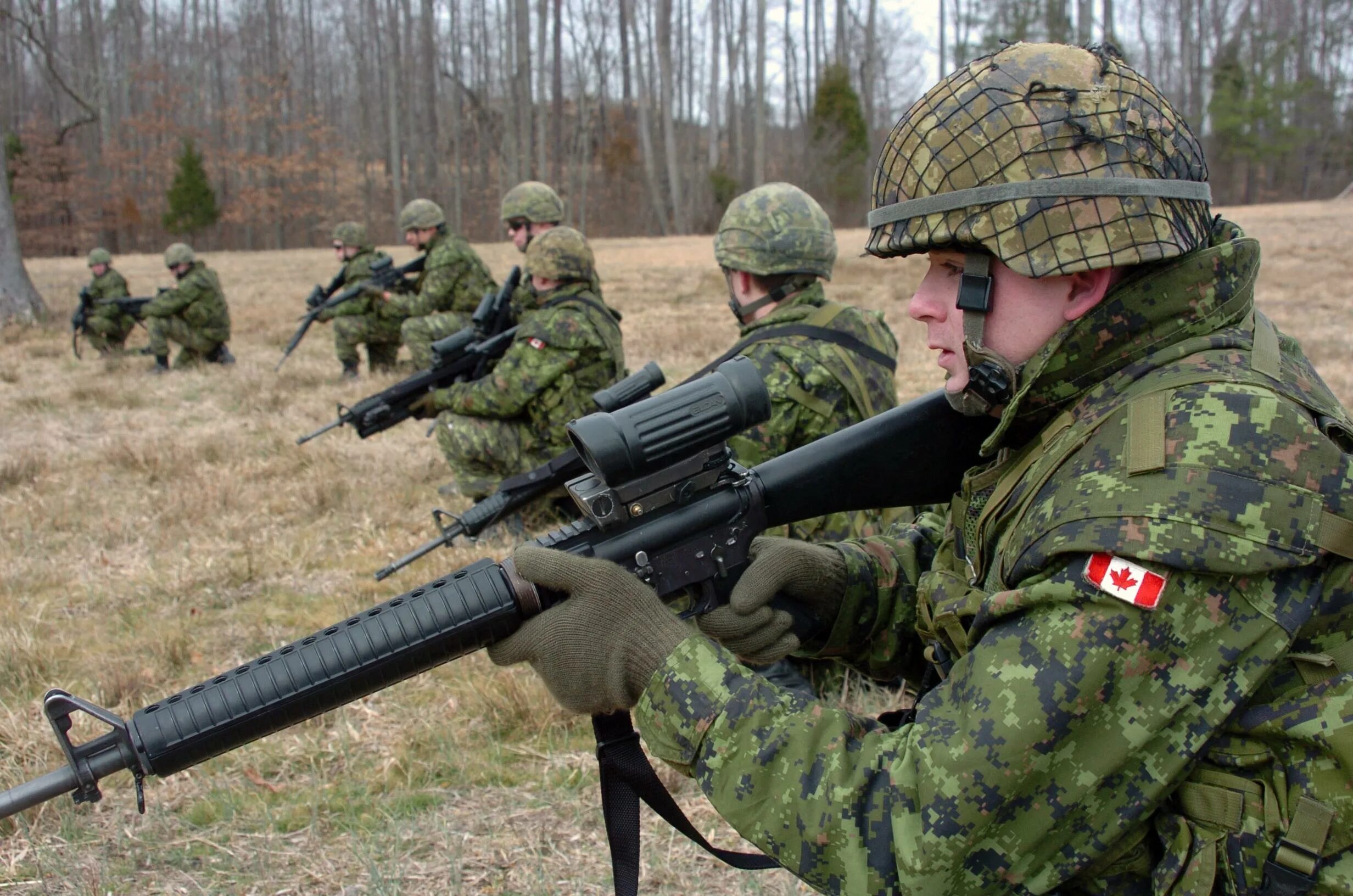 Canadian army