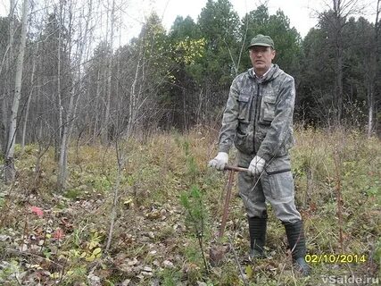 Северное лесничество