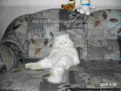 Устал сегодня