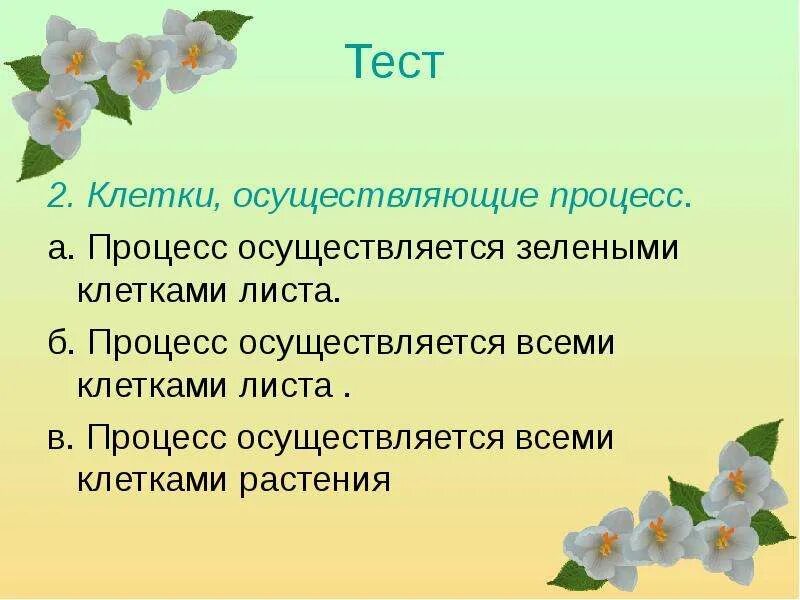 В клетках растений днем происходит. Процесс дыхания растений в клетках растений. Клетки осуществляющие процесс. Тема 15 дыхание растений тест.