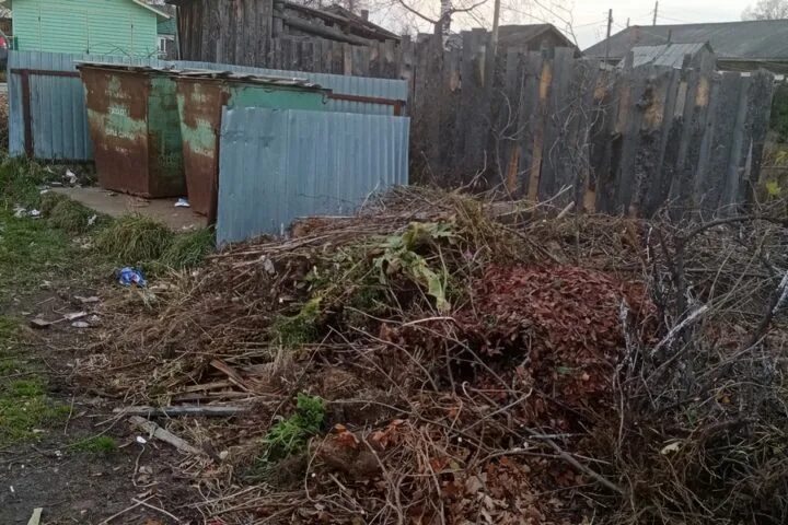 Тко если не проживаешь. Ветки в контейнере. Ветки на контейнерной площадке. Срезанные деревья рядом с мусорными баками. Это не мусорка здесь растёт дерево.