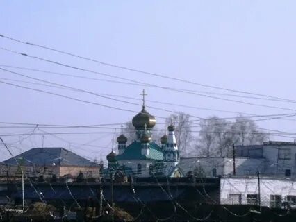 Колония в монино