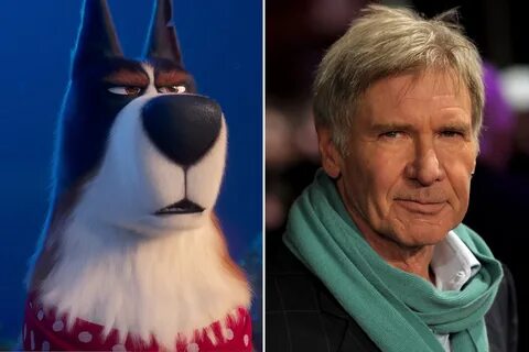 Pet characters