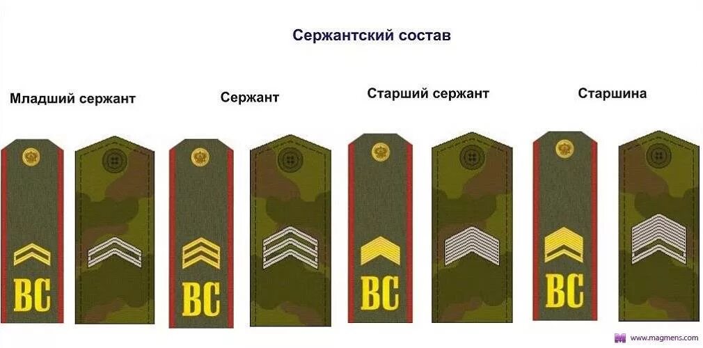 Какое звание можно получить срочнику