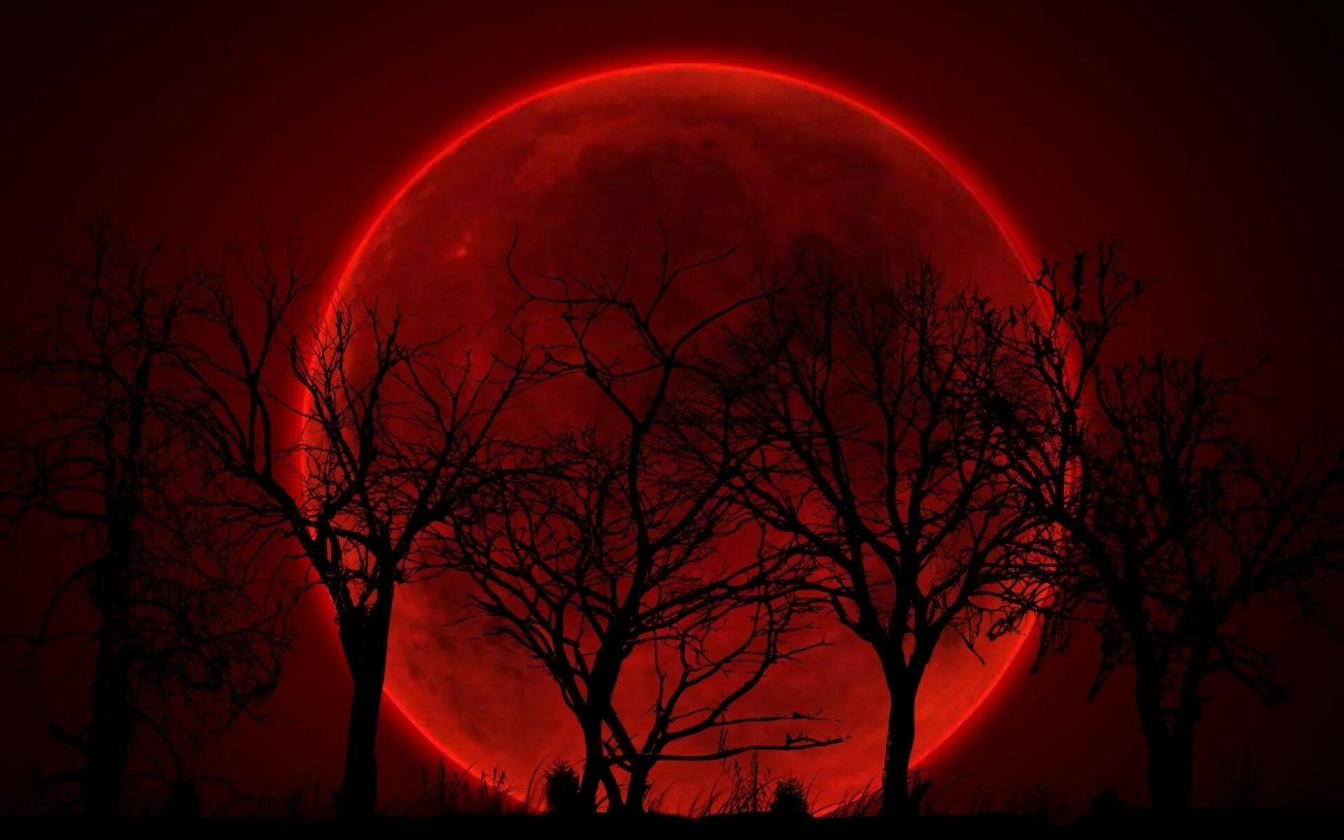 Dark blood moon. Красная луна. Кровавая луна и красная луна. Кровавая луна в лесу. Тёмная луна кровавый алтарь дорама.
