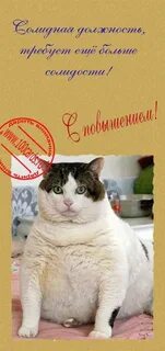 Поздравления с повышением женщине
