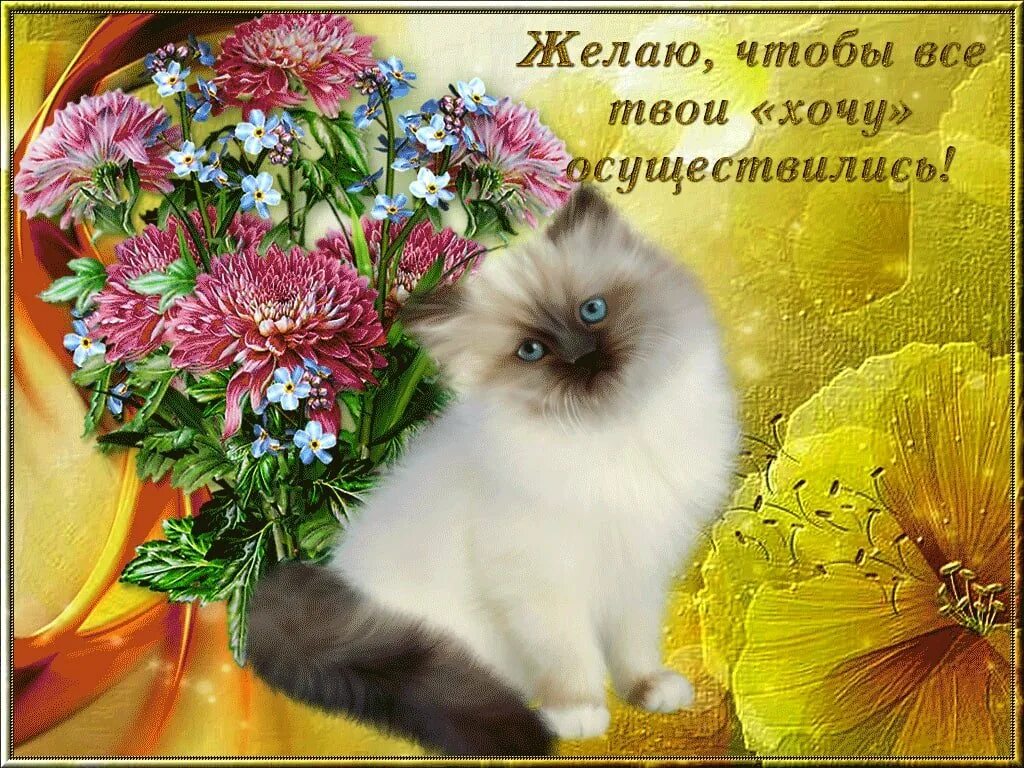 Открытка всего самого доброго. Пожелания всего самого хорошего и доброго. открытки всего самого доброго и хорошего. открытки с пожеланием здоровья и хорошего настроения. открытки с пожеланием всего самого доброго.