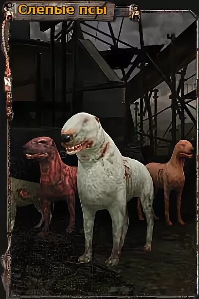 What Chernobyl's Stray Dogs Could Teach Us about Radiation Scientific American