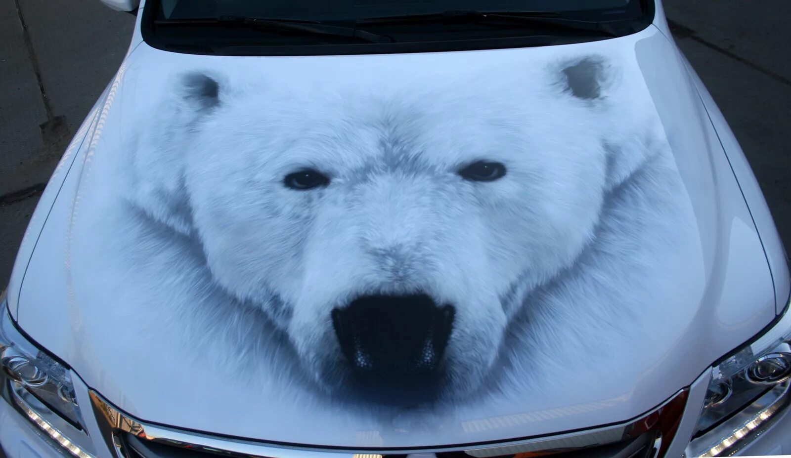 белые медведи авто прогноз. аэрография на авто белый медведь. белый медведь в машине. медведь в машине. автомобиль polar bear.