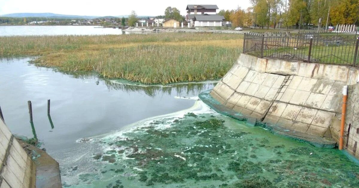 Черноисточинский пруд Нижний Тагил. Черноисточинское водохранилище Нижний Тагил. Нижний Тагил загрязнение. Дамба Черноисточинский пруд.