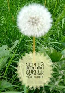 Одуванчик облетели твои семена слушать песня