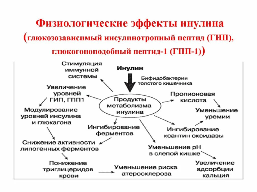 Пептид гпп 1. Глюкагоноподобный пептид-1 (гпп-1). глюкозозависимый инсулинотропный пептид. глюкагон подобный пептид. глюкагон подобный пептид 1 механизм действия.