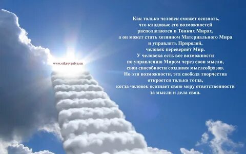 Выбор света