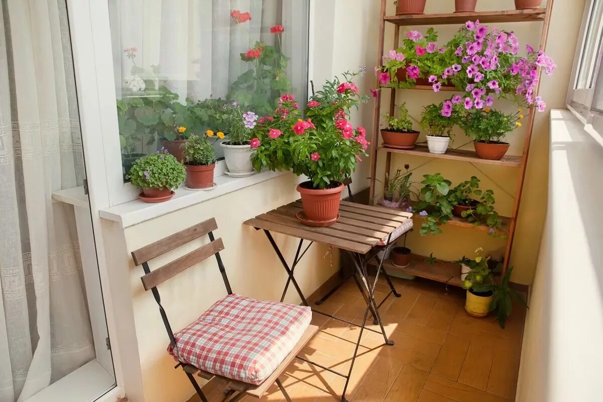 Balcony gardening. Цветы на застекленной лоджии. Цветы на застекленном балконе. Цветник на балконе. Полки для цветов на лоджии.