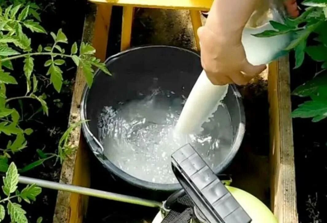 Как сделать слабый раствор