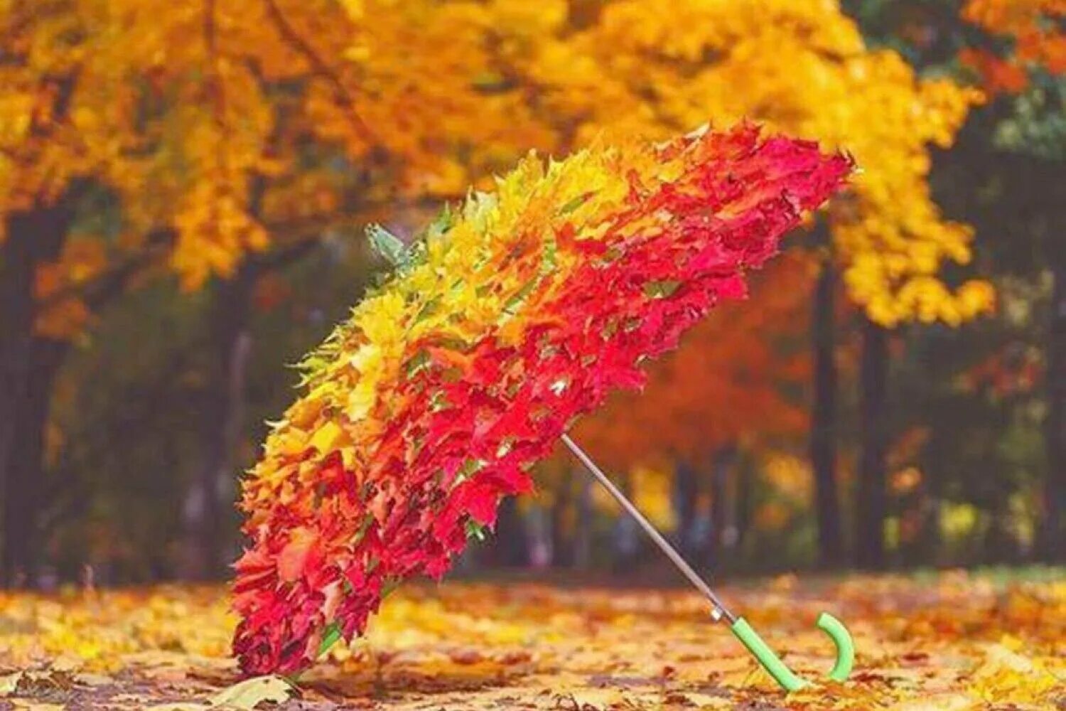 октябрь удивляет