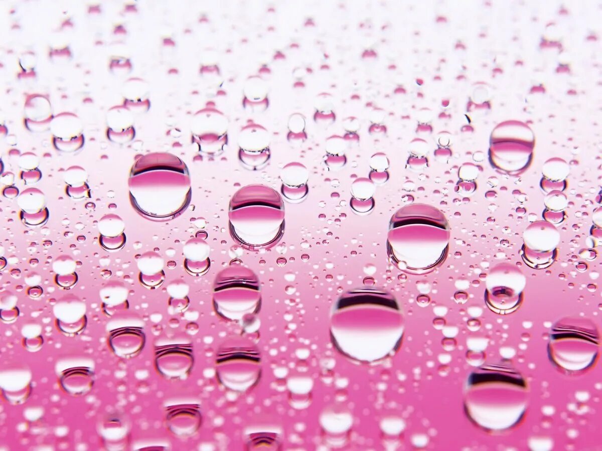 Розовая пузырька. Розовые пузыри. Капли воды. Розовые капли. Розовый фон.