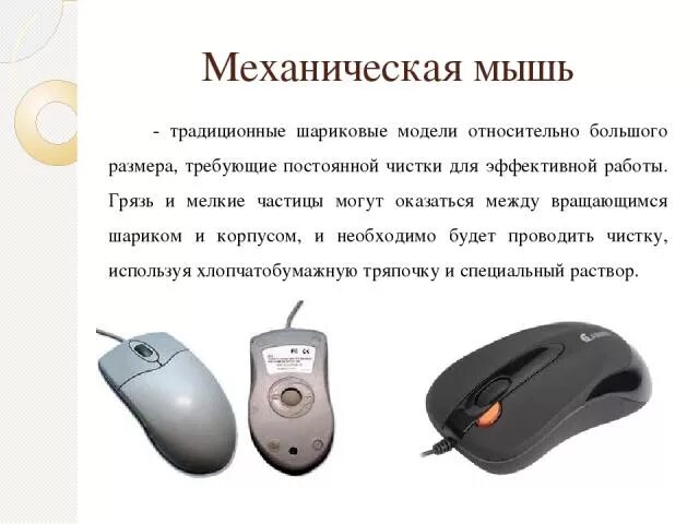 Мышь это в информатике. Мышь это в информатике