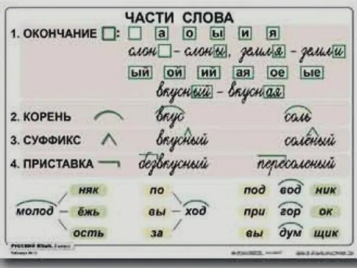 Таблицы по русскому языку для начальной школы 2 класс. Правила русского языка в таблицах. Таблицы с правилами по русскому языку. Таблицы по русскому языку для начальной школы. Правила русского с примерами