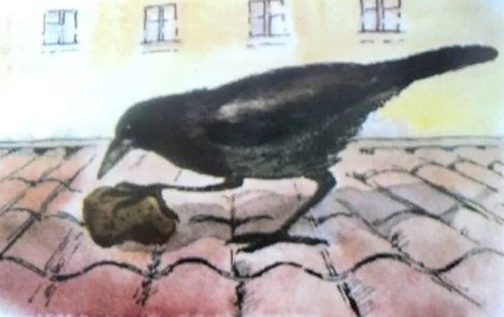 Ворона заблудилась на крыше. Читательский дневник как ворона на крыше заблудилась. Ворона на крыше. Читательский дневник как ворона на крыше заблудилась. Читательский дневник как ворона на крыше заблудилась.