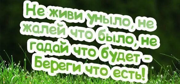 Береги себя все будет хорошо. Не живите уныло не жалейте что было. Не пожалеешь. Будет все отлично не жалей.