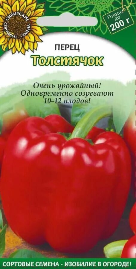 Перец толстячок описание сорта фото Перец Толстячок: описание сорта и характеристика, болезни и вредители