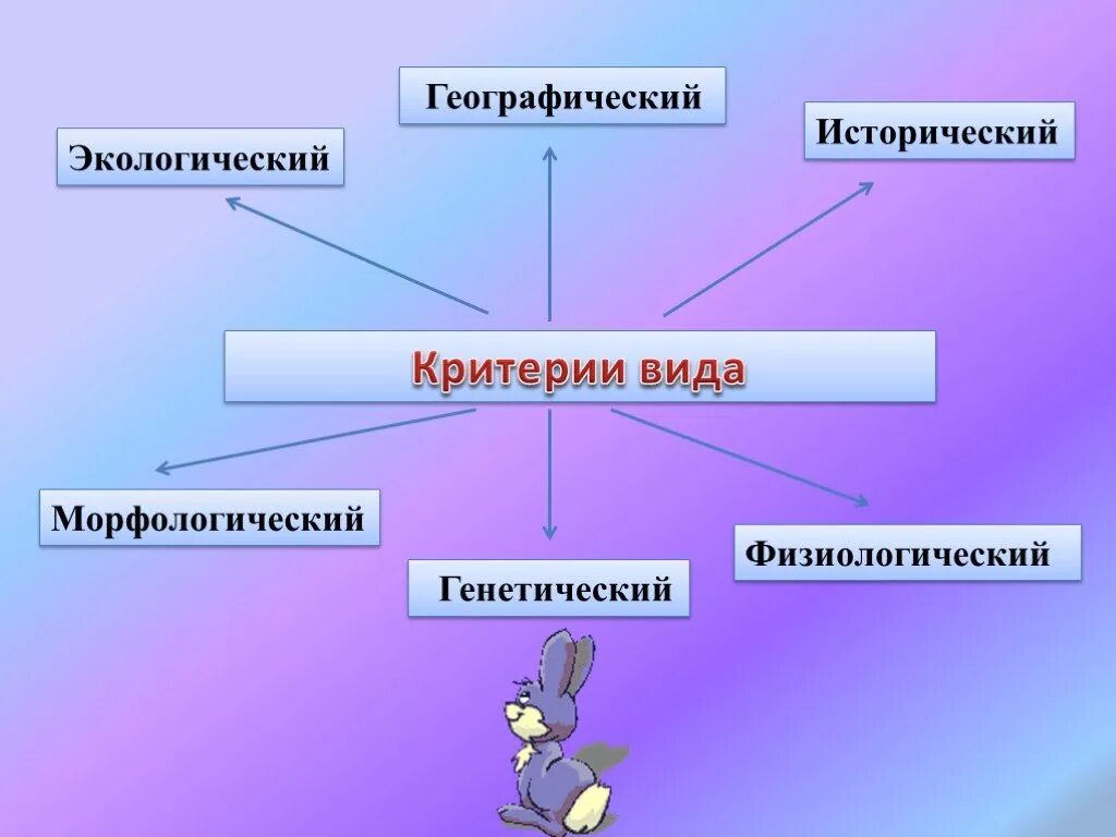 Физиологический и экологический критерии. Морфологический генетический физиологический экологический. Какой критерий самый важный