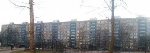 Дыбенко 21
