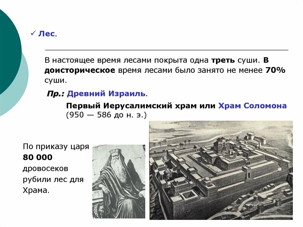 Лесами покрыто 65 суши. Суши сэндвич челябинск. Какие роллы нельзя беременным. Кухня японии. Роллы с икрой.