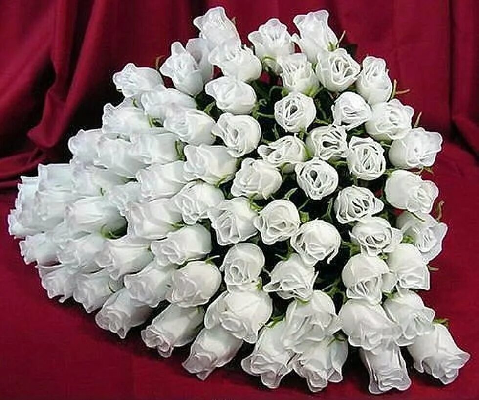 Открытка с днем рождения белые розы женщине. Красивые белые розы. Букет роз с днем рождения. Букет белых цветов. Огромный букет.