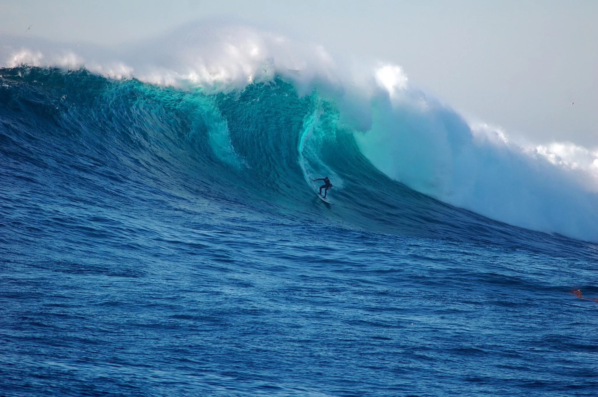 Как называется ветер океана. Тихий океан волны ЦУНАМИ. Волна Джоуз. Огромные волны. Океан волны.