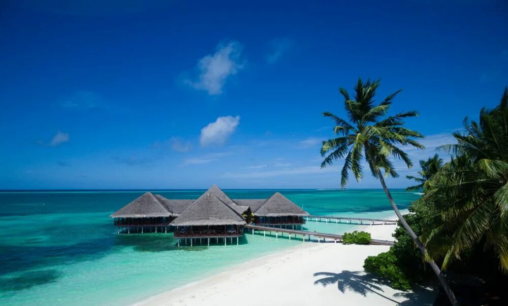 Medhufushi island 5. Medhufushi Island Resort. Medhufushi Island Resort 4 Мальдивы. Атолл Мииму Мальдивы. Медхуфуши отель.