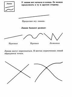 Названия кривых линий