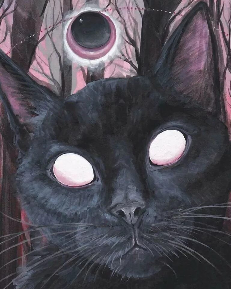Страшный черный кот. Сфинкс (порода кошек). Котик страшилки. Американ макги элис чешир. Кот из дзюндзи ито.