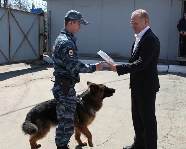 Кинолог орехово зуево. Омвд егорьевск кинологи. Кинолог моисеев орехово-зуево. Спасатели кинологи мчс. Кинолог орехово зуево.