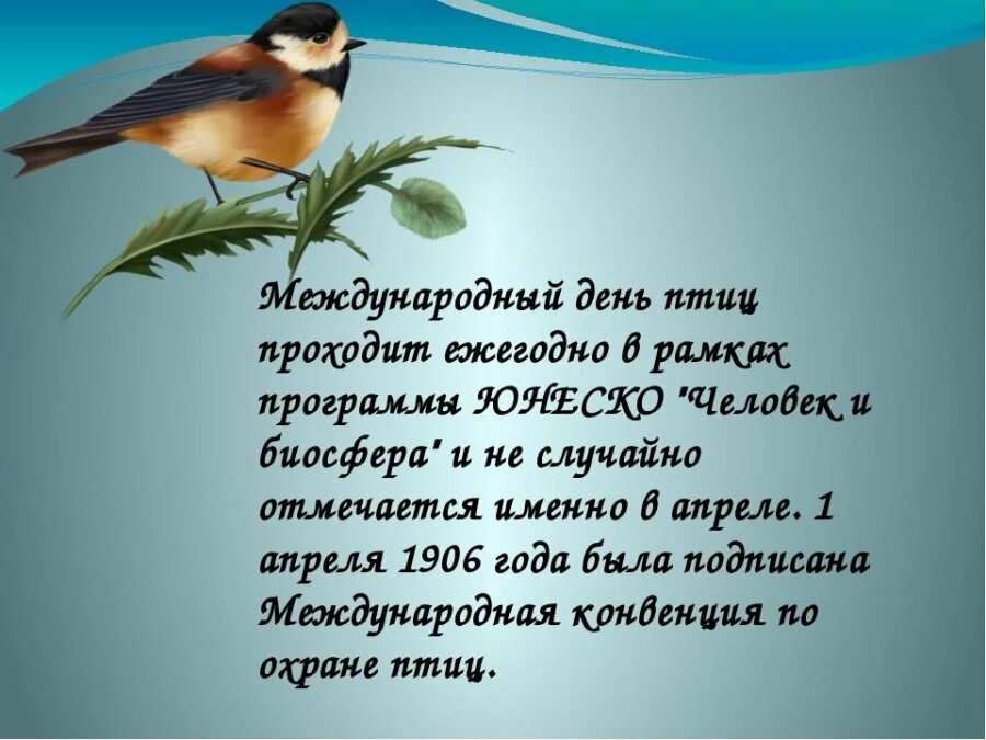 Международный праздник птиц. Международный день птиц презентация. 1 Апреля Международный день птиц. День птиц Дата. Всемирный день птиц в детском