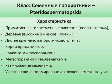 Общая характеристика папоротникообразных 7 класс биология конспект