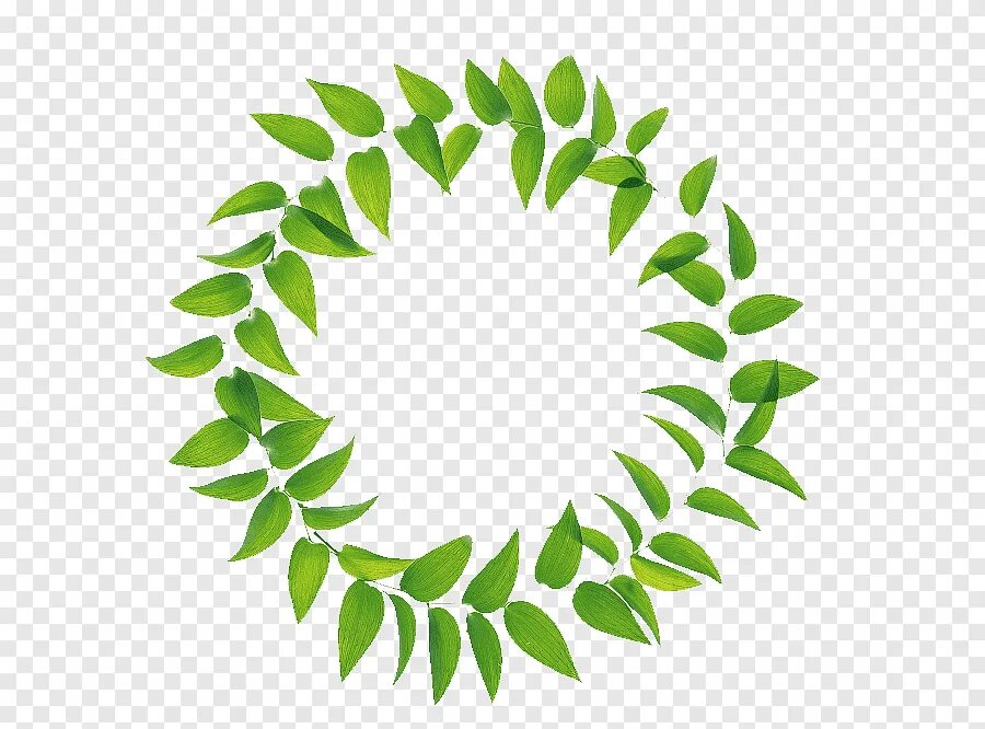 Венок. Круглая рамка с листиками. Круг с веточкой. Круглая рамка с листьями. Круг из зелени.