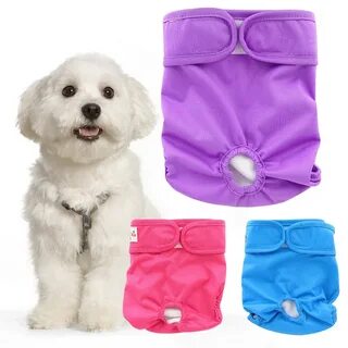 Pet shorts
