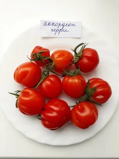 Перец дыня