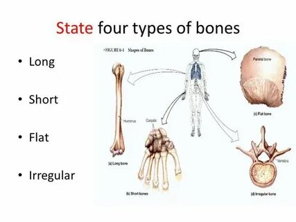 Four types