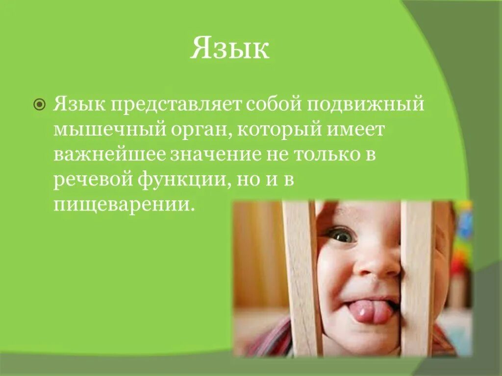 Квантитативная и историческая типологии. Признаки языка. Каждый язык представляет собой. Представить себя. Каждый язык представляет собой.