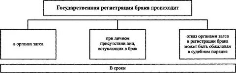 Порядок регистрации брака в органах загс