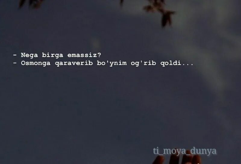 Javid ты моя дунья. слова нашида кунту майтан. джавид ты моя дунья. мухаммад окар цитаты. ты моя дунья текст.