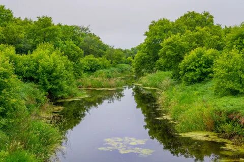 Река лопасня