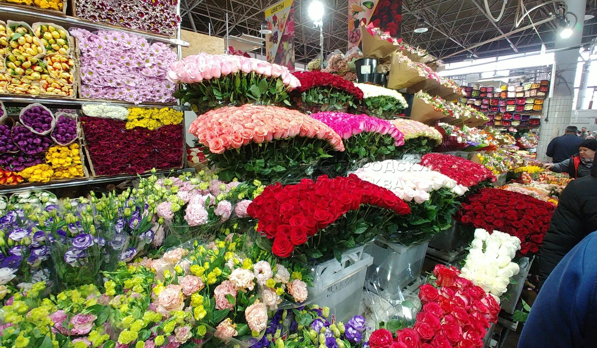 Где купить цветы в москве в розницу. Рижский рынок цветов Москва. Рижский цветочный рынок. Цветочный рынок в Москве. Розы Рижский рынок.