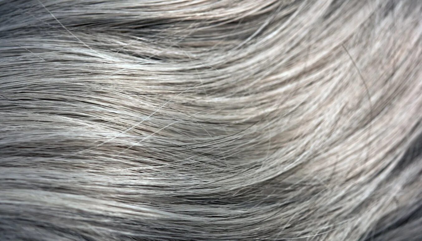 Серого стало меньше. Дымчато пепельный 8.1. Текстура волос. Седые волосы. Текстура седых волос.